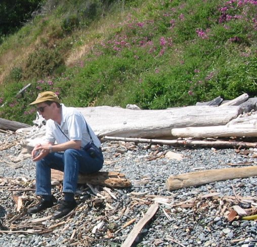Beach 16.jpg